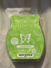 Mad melon scentsy for sale  PENICUIK
