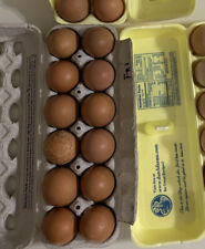 Marans hatching eggs for sale  Garden Prairie