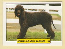 Dogs spanish trade for sale  WREXHAM