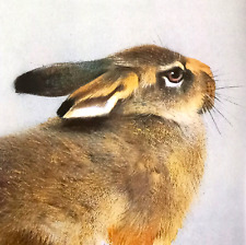 Hare vintage print for sale  NELSON