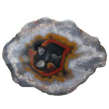 Beautiful kentucky agate for sale  Sevierville