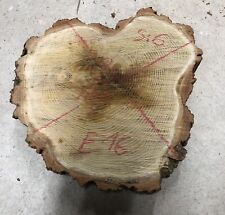 Akazien baumscheibe holzscheib gebraucht kaufen  Lohmar