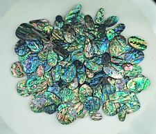 Paua abalone shell for sale  Shipping to Ireland