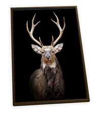 Stag deer head for sale  UK