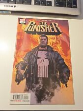 Marvel punisher 12 gebraucht kaufen  Uetersen