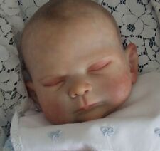 Reborn baby doll usato  Alpo