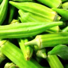 Clemson spineless okra for sale  Minneapolis