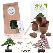 Bonsai starter kit for sale  Shipping to Ireland