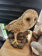 Large barn owl for sale  CHESTER