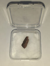 Meteorite chondrites nwa usato  Anzio