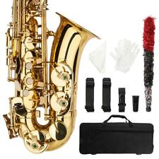 Professional alto saxophone for sale  Flanders