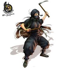 Fujiko the ninja gebraucht kaufen  Beckum
