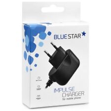 Blue star caricabatterie usato  Italia