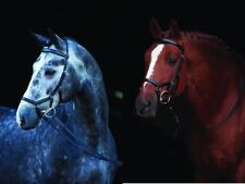 Horseware rambo micklem gebraucht kaufen  Senden