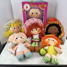 Lote de 6 muñecas de trapo Strawberry Shortcake de colección años 80 pelo hilo Kenner 1981 segunda mano  Embacar hacia Argentina