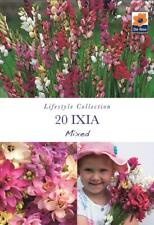 Ixia mixed summer for sale  UK