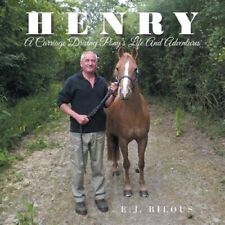Henry carriage driving for sale  DERBY