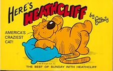 Heathcliff america craziest for sale  El Dorado