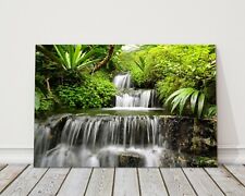 Waterfall rain forest for sale  CREWE