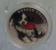 Puppies border collie usato  Alzano Lombardo