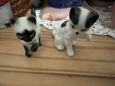 Pair cats kittens for sale  PORTSMOUTH