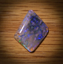Opalised fossil wood for sale  Meridian