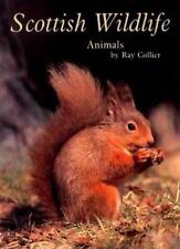 Scottish wildlife animals for sale  UK