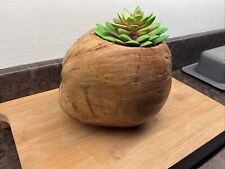 Coconut shell flower for sale  SUTTON-IN-ASHFIELD