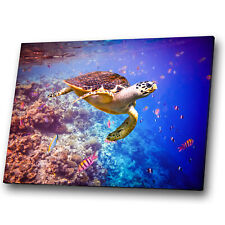 Animal canvas prints for sale  Shipping to Ireland