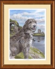 Irish wolfhound castle for sale  CANNOCK