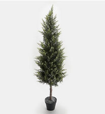Frosted spruce tree for sale  Shipping to Ireland