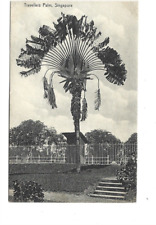 Malaya singapore 1910 d'occasion  Expédié en Belgium
