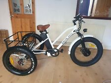 Electric tricycle jorvik for sale  THETFORD