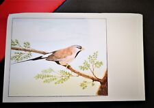 Carte postale oiseau d'occasion  Luzech