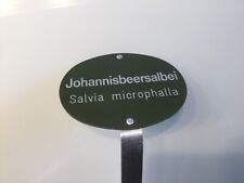 Johannisbeersalbei pflanzen kr gebraucht kaufen  Bärenbach, Kappel, Schlierschied