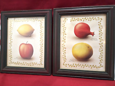 Vintage framed fruit for sale  Trenton