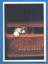 Used, KITTEN IN BREAD TIN.POSTCARD for sale  Shipping to South Africa