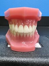 Used typodont teeth for sale  Hillsboro