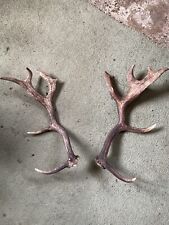 Pair fallow deer for sale  LEWES