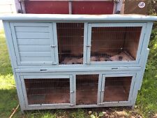 Rabbit guinea pig for sale  WALSALL