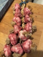 Vintage pink garlic for sale  Santa Rosa