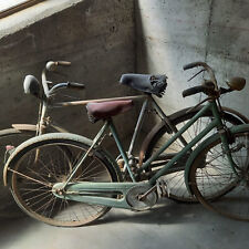 Biciclette adulto usate usato  Cuneo
