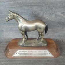Grand champion stallion for sale  Decatur