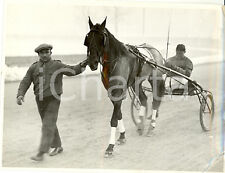 1935 milano cavallo usato  Milano
