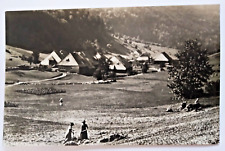 Fahl feldberg schwarzwald gebraucht kaufen  Stendal