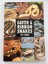 Garter ribbon snakes for sale  CONWY