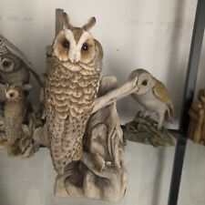 teviotdale owls for sale  TELFORD