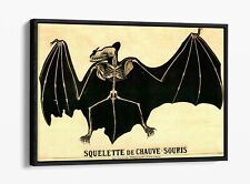 Vintage bat skeleton for sale  LONDONDERRY