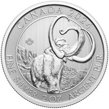 Canada dollars argent d'occasion  Lesquin