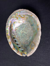 Coquillage ormeaux abalone d'occasion  Béziers